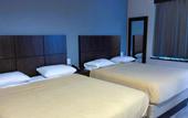 Туры в отель Royal Hotel Bronx
