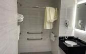 Туры в отель Royal Hotel Bronx