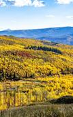 Туры в отель Grand Mesa Lodge