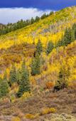 Туры в отель Grand Mesa Lodge