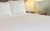 Туры в отель Hotel One75