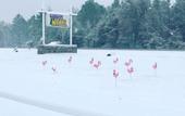 Туры в отель Hillcrest Motel