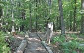 Туры в отель Moondance Ridge Bed & Breakfast