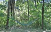 Туры в отель Moondance Ridge Bed & Breakfast