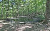 Туры в отель Moondance Ridge Bed & Breakfast