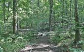 Туры в отель Moondance Ridge Bed & Breakfast