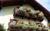 Туры в отель Landhotel Martha