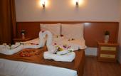 Туры в отель Arikan Park Hotel
