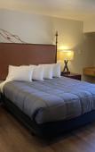Туры в отель Snow Bear Lodge