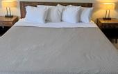 Туры в отель Red Carpet Inn - Houma LA