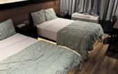 Туры в отель Dream Hotel Bronx