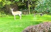 Туры в отель Villa Verde BB Greenwood Lake NY