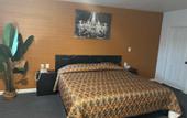Туры в отель Domino Motel