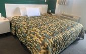 Туры в отель Domino Motel