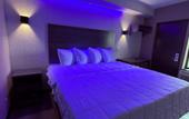 Туры в отель The Vine Hotel Bronx