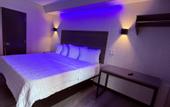 Туры в отель The Vine Hotel Bronx