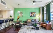 Туры в отель Spacious Modern Condos near French Quarter