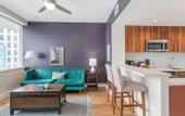 Туры в отель Spacious Modern Condos near French Quarter