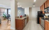 Туры в отель Spacious Modern Condos near French Quarter