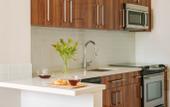 Туры в отель Spacious Modern Condos near French Quarter