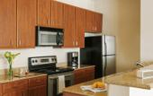 Туры в отель Spacious Modern Condos near French Quarter
