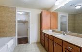 Туры в отель Spacious Modern Condos near French Quarter