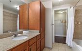 Туры в отель Spacious Modern Condos near French Quarter