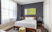 Туры в отель Spacious Modern Condos near French Quarter