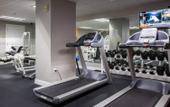 Туры в отель Spacious Modern Condos near French Quarter