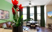 Туры в отель Spacious Modern Condos near French Quarter