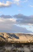 Туры в отель @ Marbella Lane - Moon Designer Home Close to Jtnp