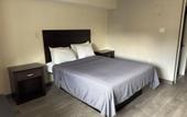 Туры в отель Belleville Motor Lodge