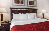 Туры в отель Garner Hotel Mahwah by IHG