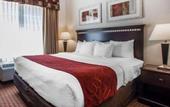 Туры в отель Garner Hotel Mahwah by IHG