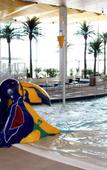 Туры в отель Treasure Island Resort & Casino