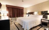 Туры в отель NOVA HOTEL BRONX