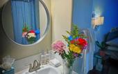Туры в отель Nova Hotel JFK