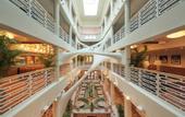 Туры в отель The Moore Miami