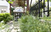 Туры в отель Hotel Perla