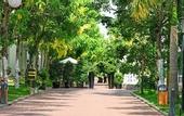 Туры в отель TOKI SAIGON Resort & Spa