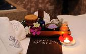 Туры в отель TOKI SAIGON Resort & Spa