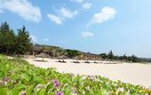Туры в отель White Sand Resort
