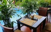 Туры в отель Phuc Thao Villa
