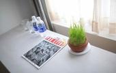 Туры в отель Goda Boutique Hotel