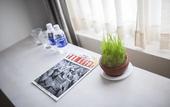 Туры в отель Goda Boutique Hotel