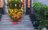 Туры в отель Ngoc Tung Hotel