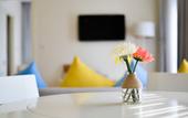 Туры в отель Palmier Hotel