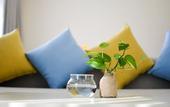 Туры в отель Palmier Hotel