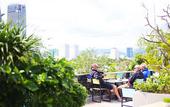 Туры в отель Palmier Hotel
