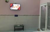 Туры в отель Phuong Tu Guesthouse